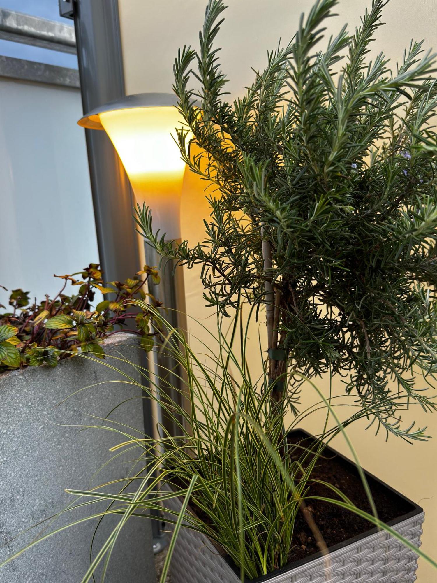 Apartment Ferienwohnung-koenigsschloesser